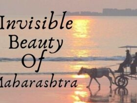 Visit Invisible Beauty Of Maharashtra in 2021