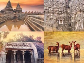 Top 6 UNESCO World Heritage Sites in India 2021