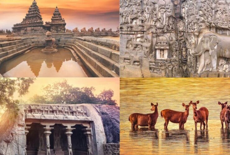 Top 6 UNESCO World Heritage Sites in India 2021