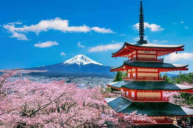 Kyoto Holiday Destinations 