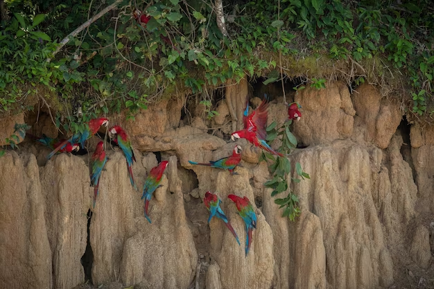 Piti Bird Sanctuary
